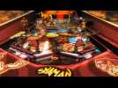 Vidéo Zen Pinball 2 - Trailer Wii U Vidéo Zen Pinball 2 - Trailer Wii U