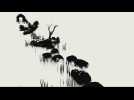 Vidéo The Unfinished Swan - Trailer de Lancement Vidéo The Unfinished Swan - Trailer de Lancement
