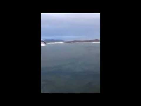 Amateur video captures whale-watching boat sinking in Canada