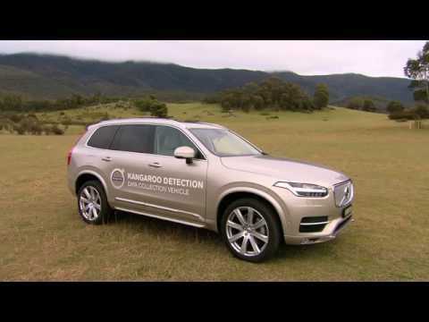 Volvo Cars begins first ever Australian tests for kangaroo safety research | AutoMotoTV