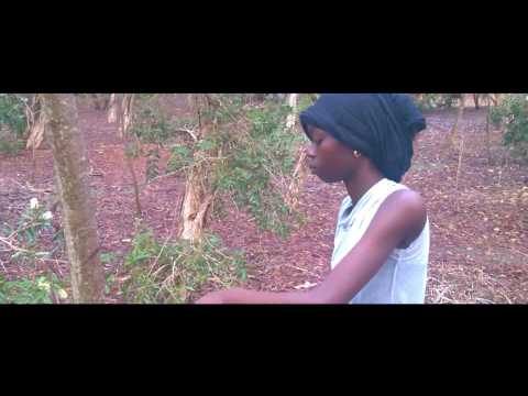Doyna !!! (ça suffit) -Act On Climate Change - Short Film 