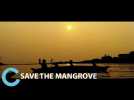 Save the Mangrove - Act On Climate Change - Short Film