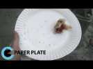 Paper Plate - Act On Climate Change - Short Film - Label : Mobile Film Festival 2015 UK - Category : Cinéma