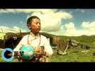 噩梦 - Act On Climate Change - Short Film - Label : Mobile Film Festival 2015 FR - Category : Cinéma