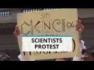 Chilean scientists protest against government