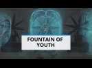 Breakthrough: What is the modern day fountain of youth?