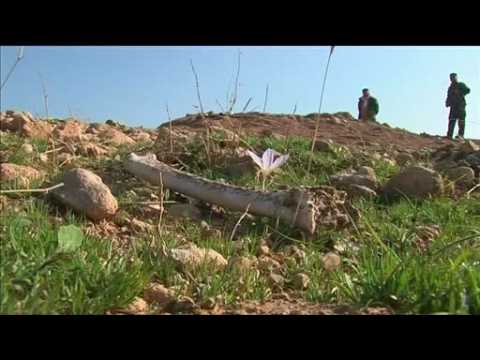 Yazidi mass graves uncovered in Sinjar