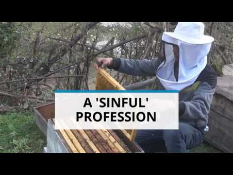 Sinful and booming buzziness: Beekeeping in Bhutan