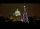 U.S. Capitol Christmas Tree lights up the night