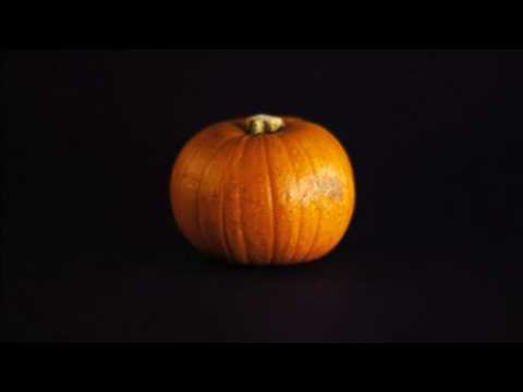 Halloween themed pumpkin animation becomes internet hit