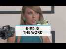 A bird is the word, Taylor Swift