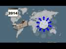 Plankton increase may be due to rising carbon dioxide levels