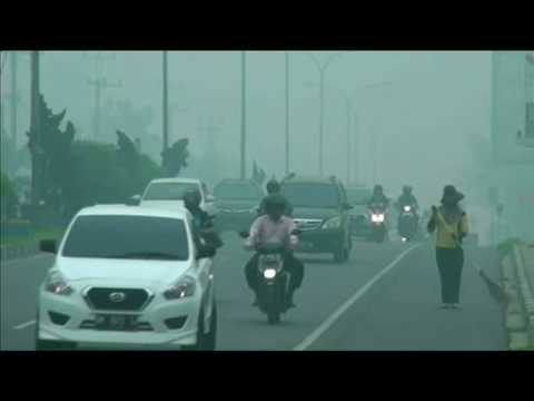 Southeast Asia set to suffer for months from Indonesian fires