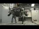 StarlETH dog robot copes with tough terrain