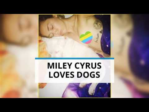 Miley Cyrus exposes her thoughts on animal rights