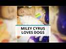 Miley Cyrus exposes her thoughts on animal rights