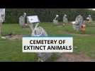 Dead scary: Cemetery for extinct animals