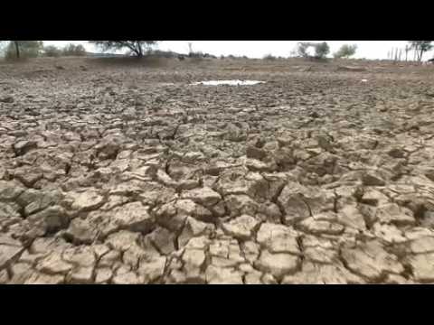 South African farmers in drought battle