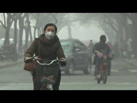 China's smoggiest city closes schools amid public anger