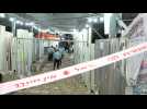 Deadly Israel pilgrimage stampede site cordoned off - Label : AFPTV - First images - Category : News
