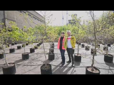 Tate Modern oak tree installation in honour of activist Joseph Beuys
