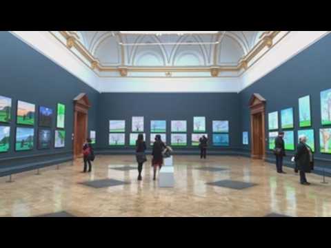 David Hockney Spring arrives at the Royal Academy in London