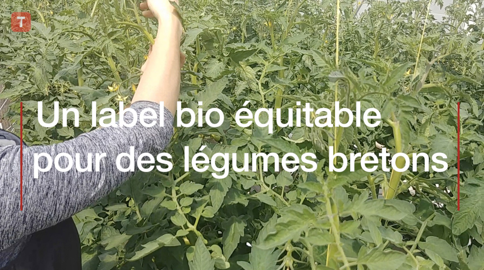 Un label bio équitable pour des légumes bretons (Le Télégramme)