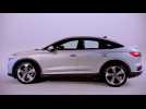 Audi Q4 Sportback e-tron Design in Floret silver Studio