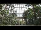 Belgium reopens its greenhouses and botanical gardens