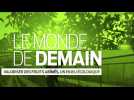 Le Monde de Demain | La valorisation des fruits abîmés, un enjeu écologique