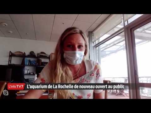 L'Édition du Soir | L'invitée | Ambre Bénier, directrice générale de l'Aquarium de la Rochelle