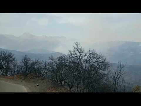 Wildfires rage across Algeria's Kabylie region