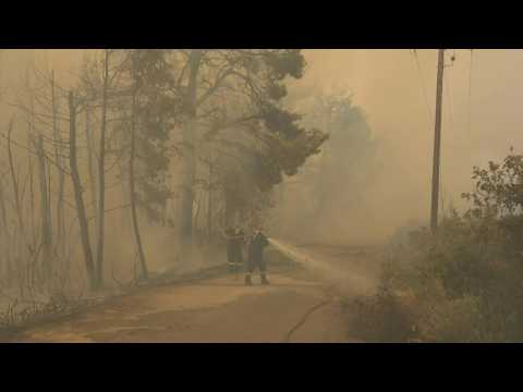 Firefighters try to contain wildfire destruction on Greek island (2)