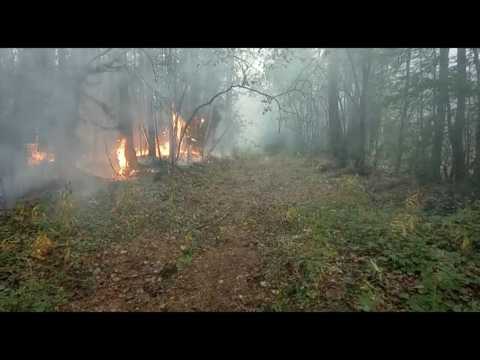 Forest fires continue to tear through Siberia
