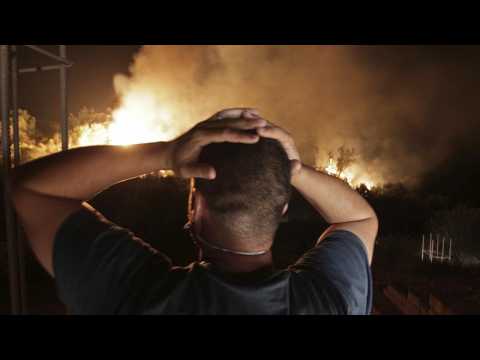 Dozens killed in wildfires in Algeria