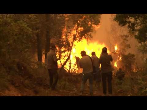 Firefighters try to contain fiery destruction on Greek island of Evia