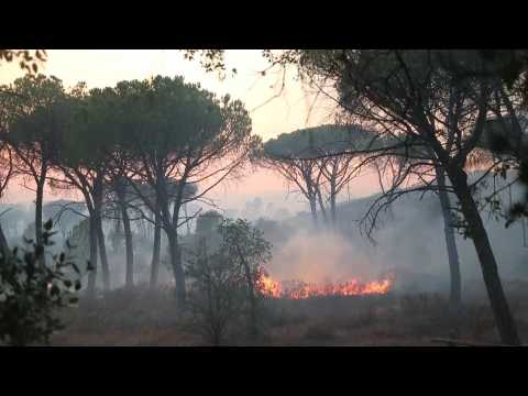 The fire in France devastated 6,000 hectares