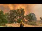Firefighters battle flames to contain Dixie Fire in Northern California