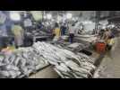 Philippines allows importation of 60,000 metric tons of fish