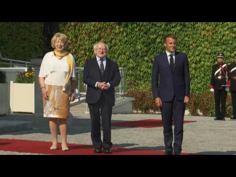 Macron welcomed to Dublin by Irish president Higgins