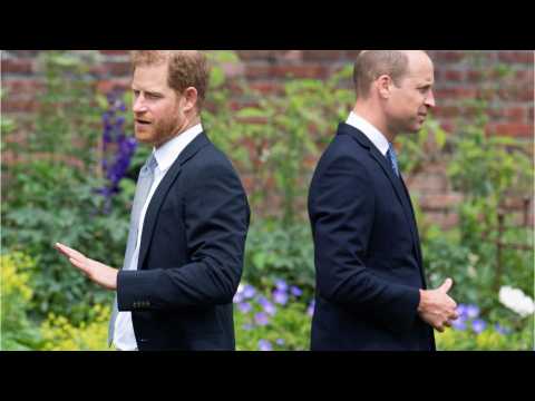 Prince William and Prince Harry have not still reconciled despite joint appearances (1)