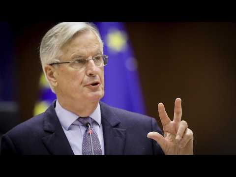 EU's Brexit negotiator Michel Barnier says he will run in French presidential primary