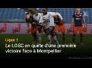 Ligue 1 : le LOSC en quête d'une première victoire face à Montpellier