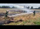 Steene : les pompiers tentent d'éteindre un feu de paille