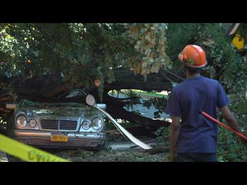 Crews clear fallen tree after Ida remnants wreak havoc in New York