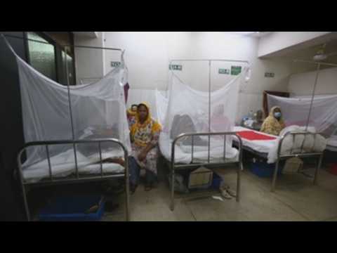 Bangladesh reports surge of dengue fever