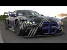 SIM Racing Cooperation, the new BMW M4 GT3 steering wheel