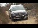 2022 Hyundai Santa Fe Off Road Driving Video