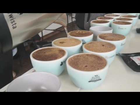 Panama's Geisha scores highest at coffee tasting competition