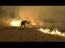Locals battle flames on Greek island of Evia